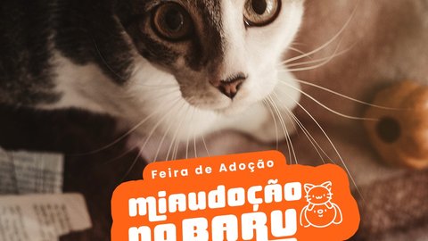 Feira de Adoção Miaudocão no Baru