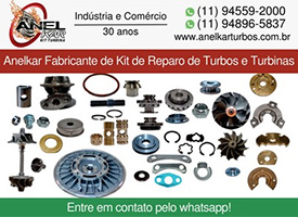 Turbo Anelkar