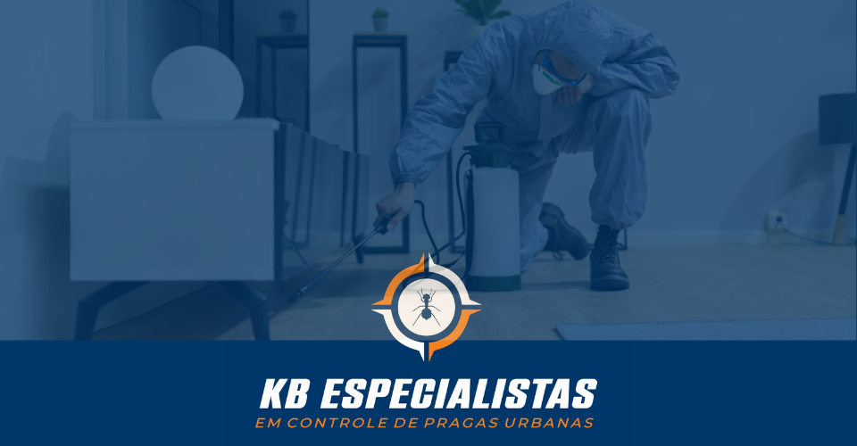 kb especialistas