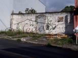 Foto Destaque