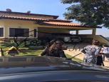 Foto Destaque