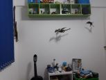 Foto do Imvel 14