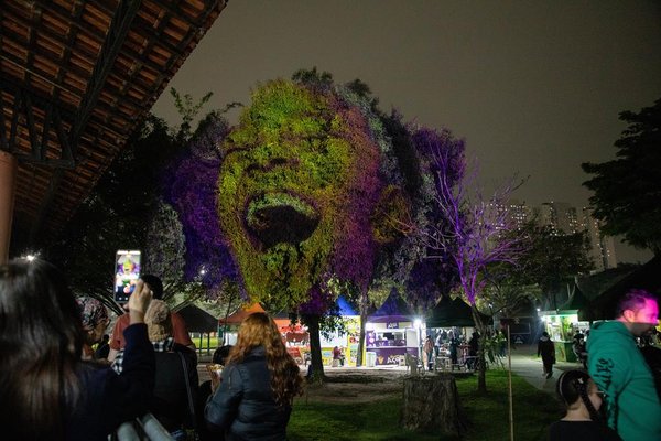 Luzes no parque unem arte, música e conscientização ambiental em Barueri