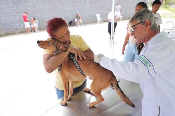 Dia Mundial Contra a Raiva reforça importância da prevenção e da vacinação
