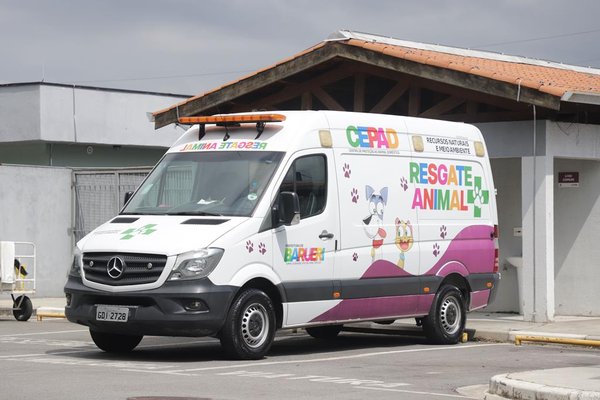 Animais em risco ganham atendimento e proteção em Barueri