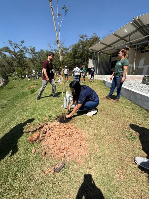 Sema recebe doação de 637 mudas para plantio em Barueri