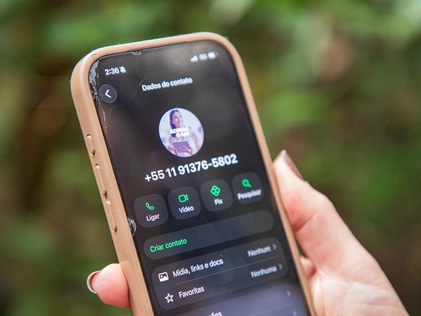 Sebrae e Secretaria da Mulher de Barueri oferecem curso sobre carreira como influenciador digital