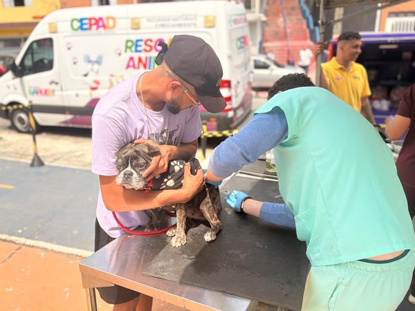 Saúde Animal chega ao Jardim Paulista neste sábado (17)
