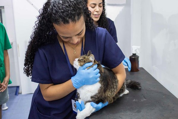 Saúde Animal no Jardim Líbano atende cerca de 260 pets